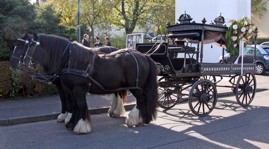Fuhrpark Bestattungen: Pferdekutsche für Oberstenfeld, Großbottwar, Ilsfeld, Flein