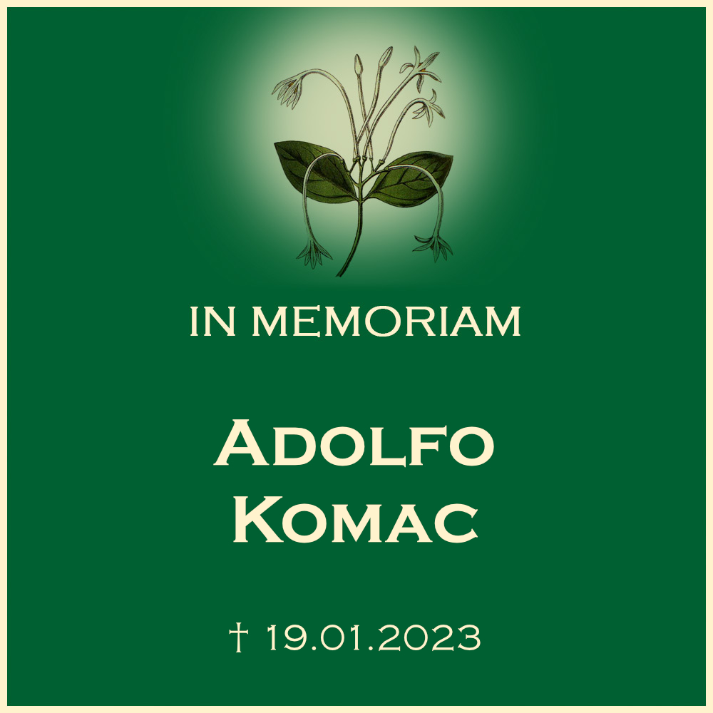 Adolfo Komac