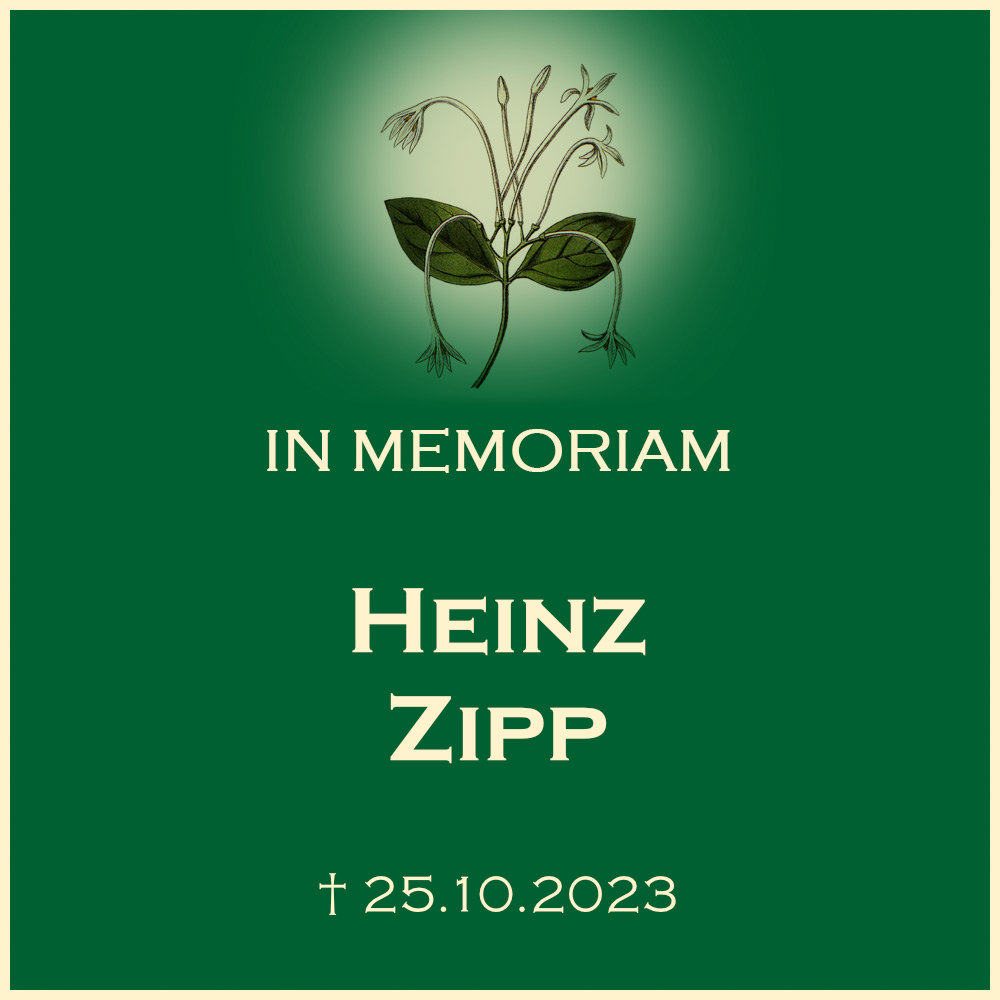 Heinz Zipp evangelische Trauerfeier mit Urnenbeisetzung in 71720 Oberstenfeld Gronau Buchenstrasse Urnenwand