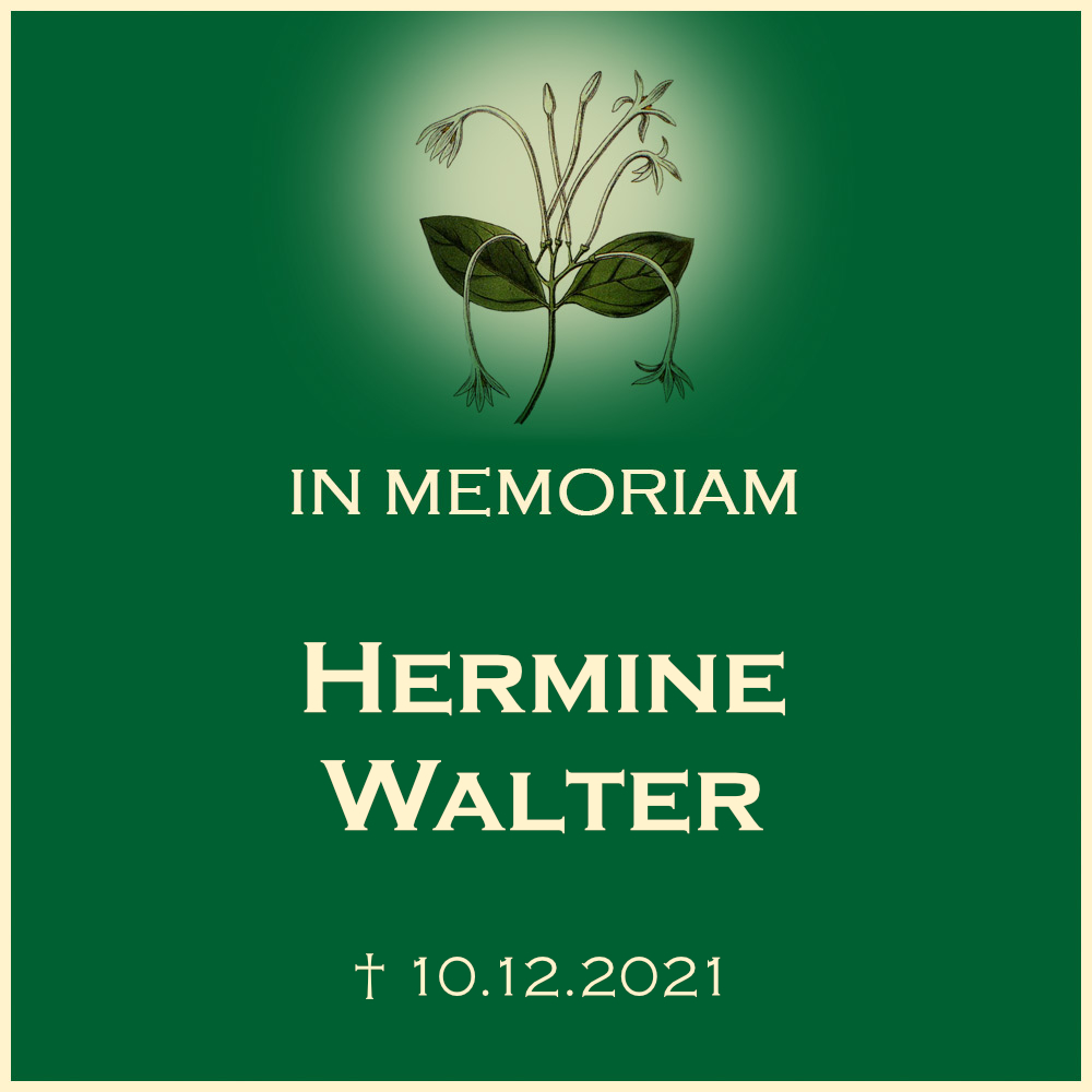 Hermine Walter