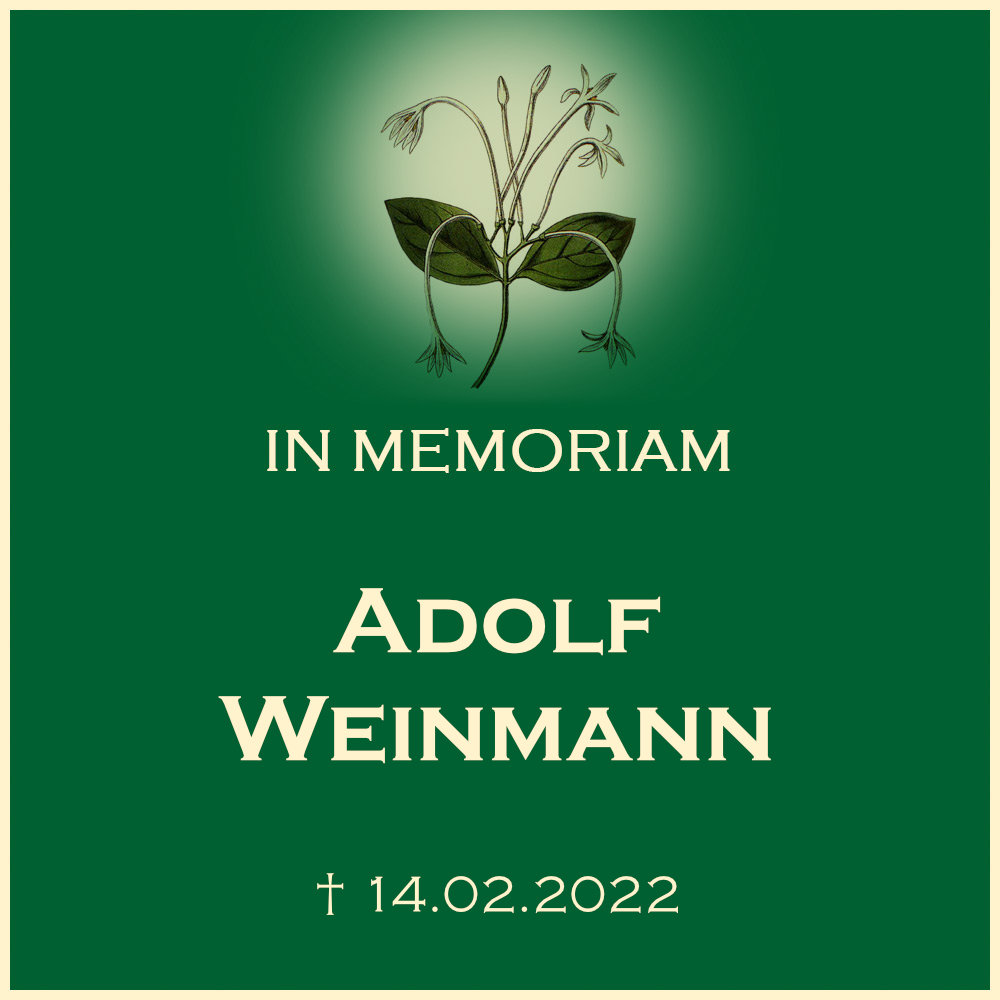 Adolf Weinmann Urnenbeisetzung Baumreihengrab auf dem Friedhof Großbottwar in 71723 Großbottwar Friedhofstraße