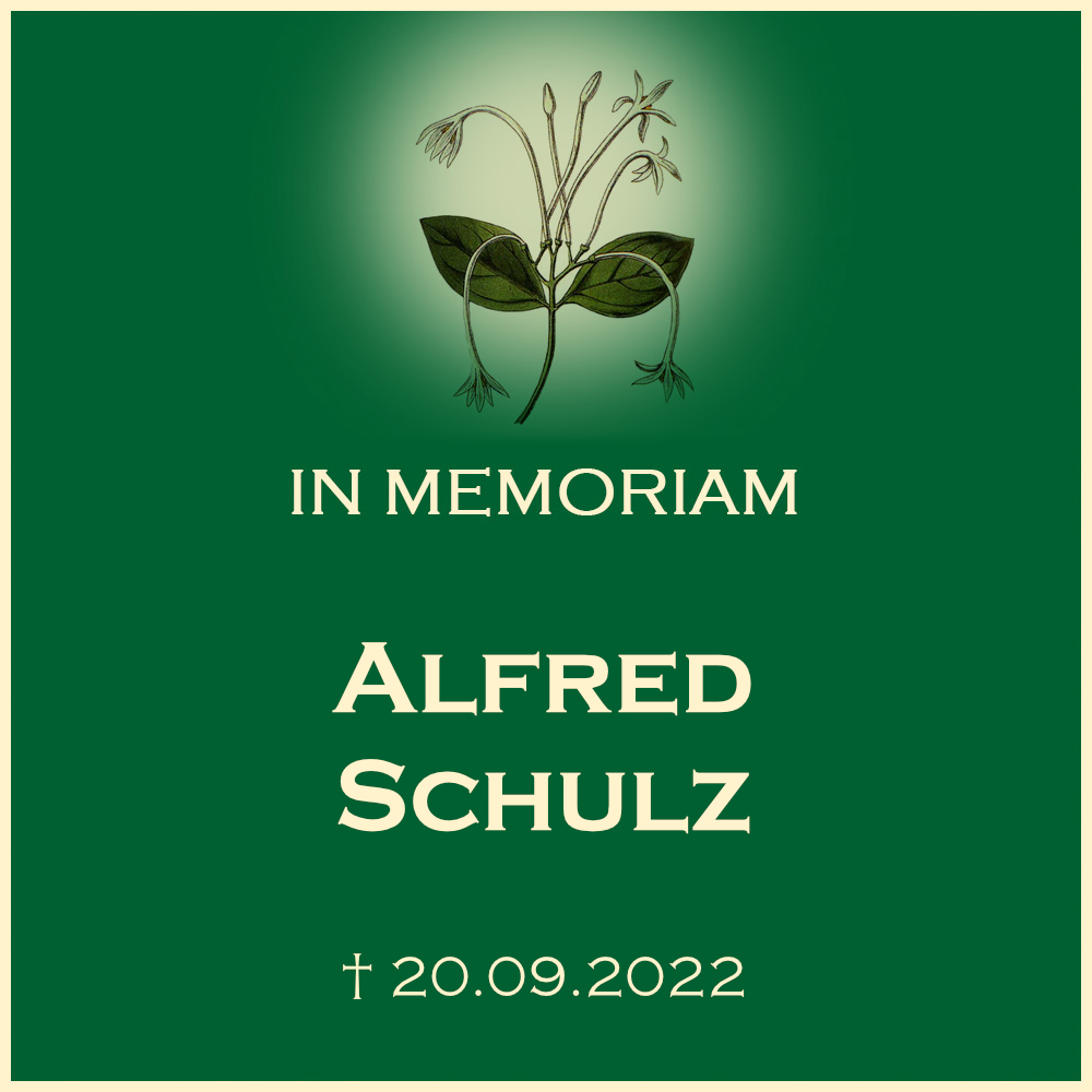 Alfred Schulz Urnenbeisetzung in einem Baumreihengrab Neuer Friedhof in 74360 Ilsfeld Nelkenstrasse 5