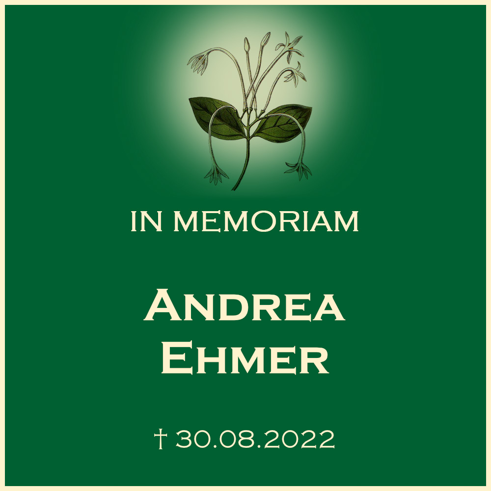 Andrea Ehmer Erdbestattung auf Friedhof Großbottwar in 71723 Großbottwar Friedhofstraße