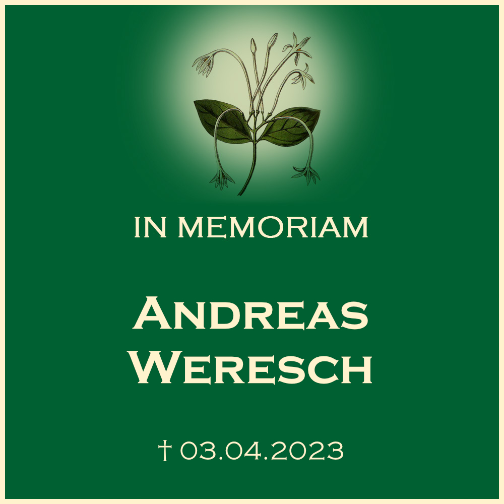Andreas Weresch katholische Trauerfeier mit Urnenbeisetzung in einem Urnenwahlgrab Ortsfriedhof 71720 Oberstenfeld Forststrasse