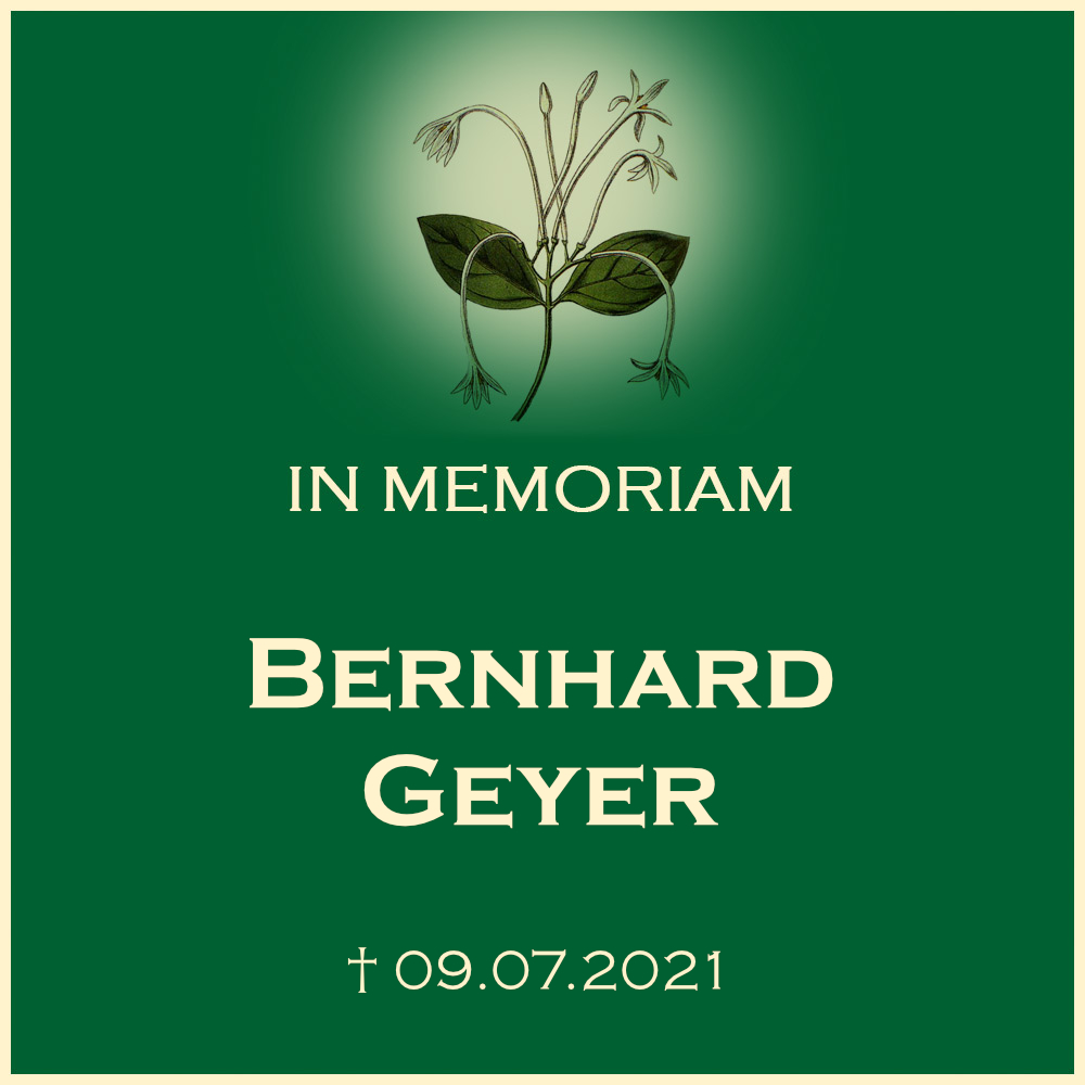 Bernhard Geyer