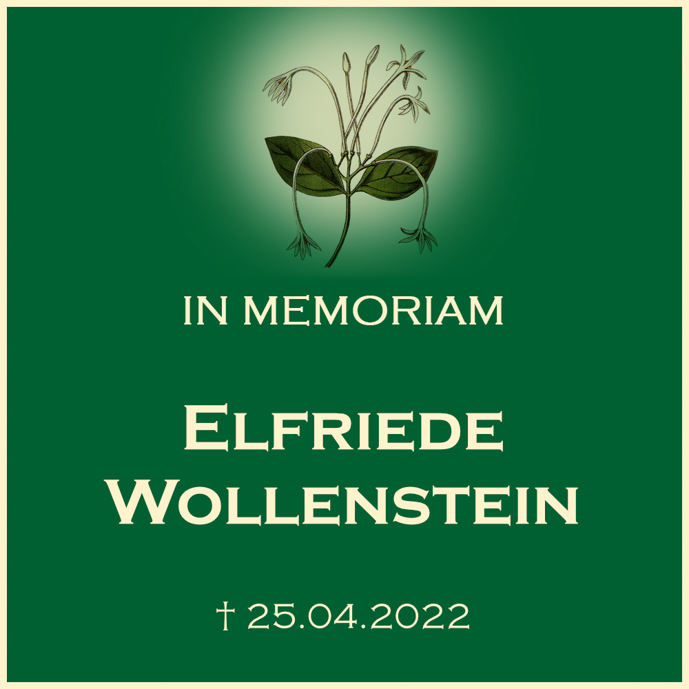 Elfriede Wollenstein Urnenwahlgrab Bestattung in der Urnenwand 71717 Beilstein Auensteiner Strasse