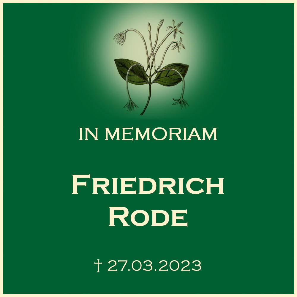 Friedrich Rode Erdbestattung Ortsfriedhof 71720Oberstenfeld Forststrasse