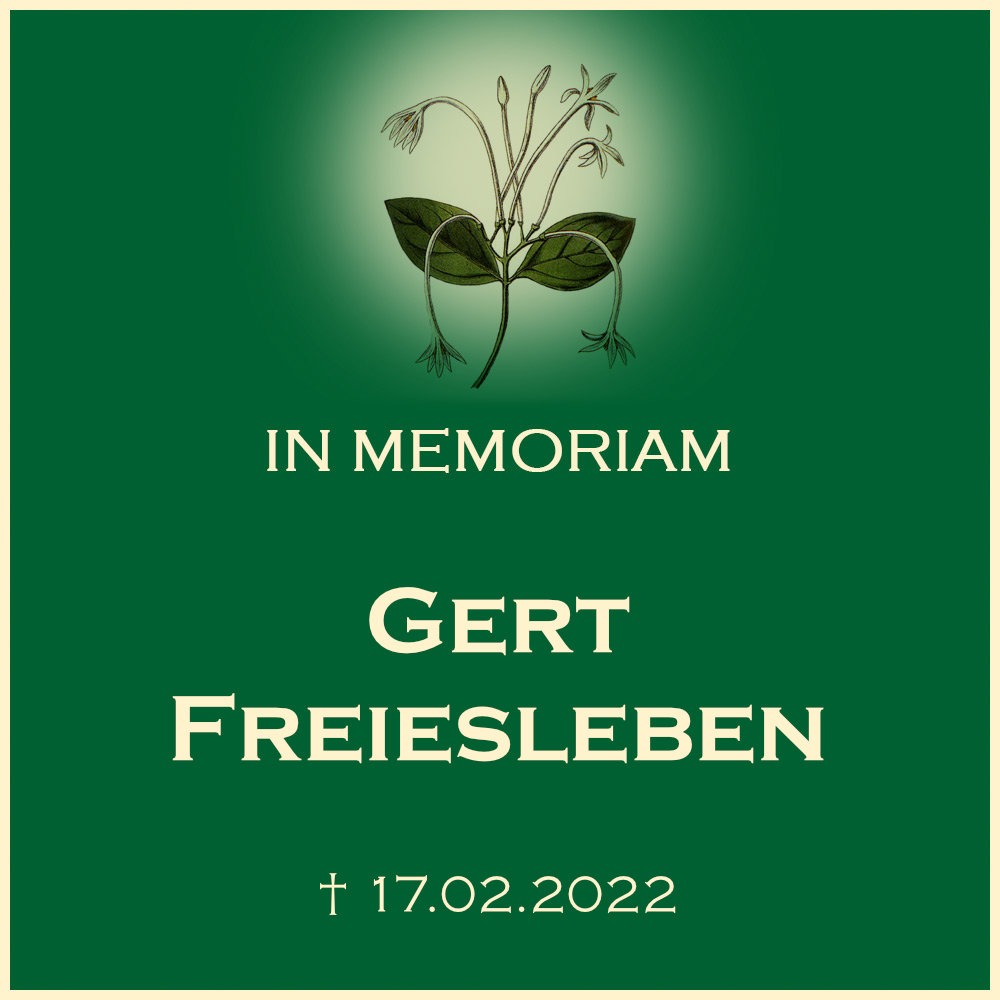 Gert Freiesleben Urnenbeisetzung in einem pflegeleichten Urnengrab Friedhof Abstatt in 74232 Abstatt in Friedhofstrasse