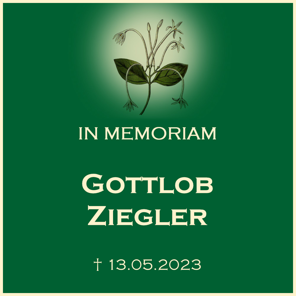 Gottlob Ziegler evangelische Trauerfeier mit Urneneisetzung Ortsfriedhof 71720 Oberstenfeld Forststrasse