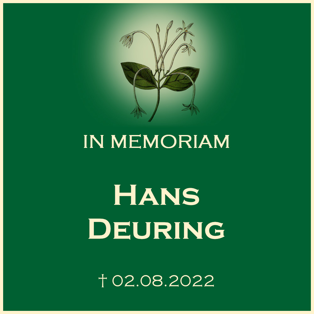Hans Deuring Trauerfeier mit Urnenbeisetzung auf Friedhof Gronau 71720 Oberstenfeld Gronau Buchenstrasse 6