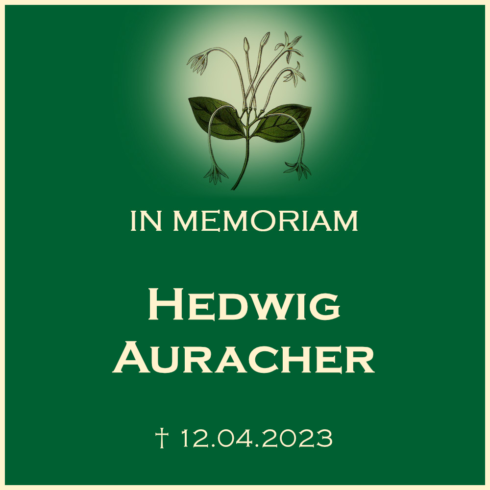 Hedwig Auracher Baumbestattung auf dem Friedhof in 71723 GroßbottwarFriedhofsstrasse 32