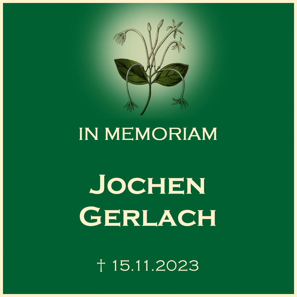 Jochen Gerlach Erdbestattung Friedhof 71717 Beilstein Auensteiner Strasse