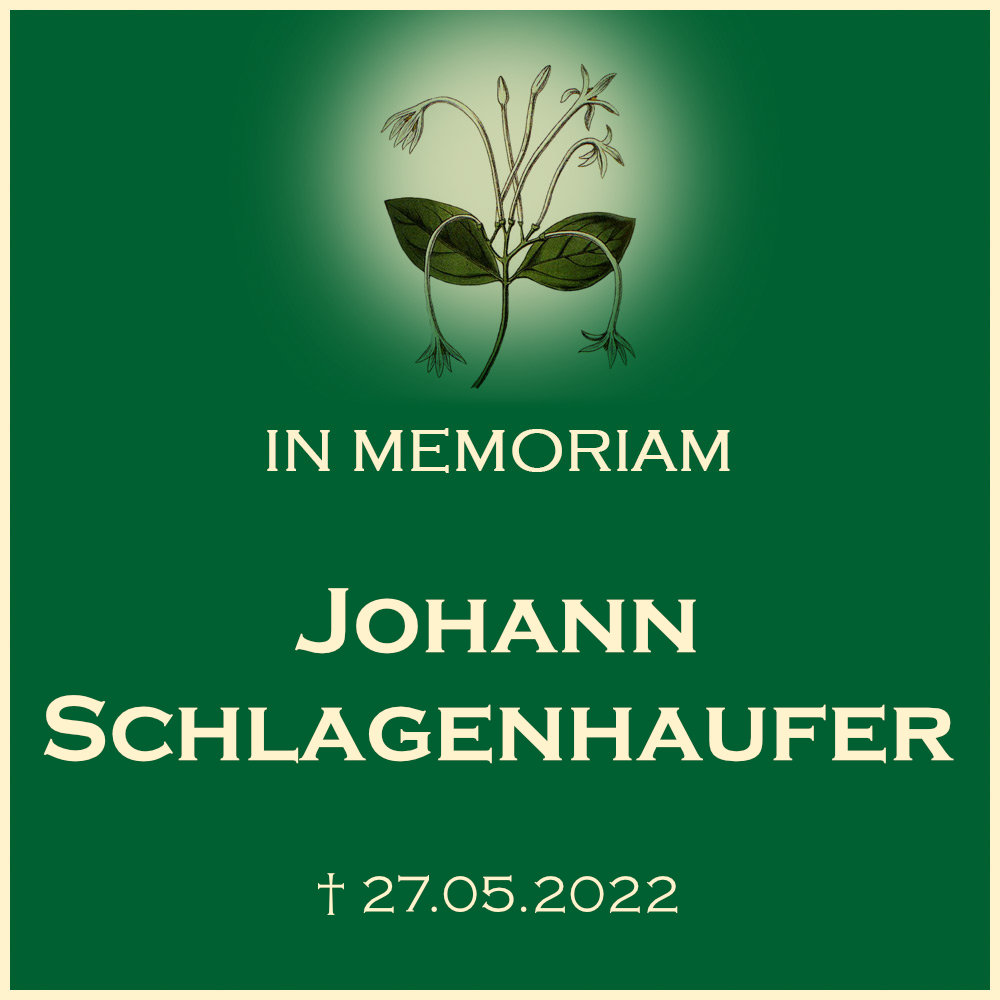 Johann Schlagenhaufer Trauerfeier mit Urnenbeisetzung auf dem Friedhof Abstatt Friedhofstrasse