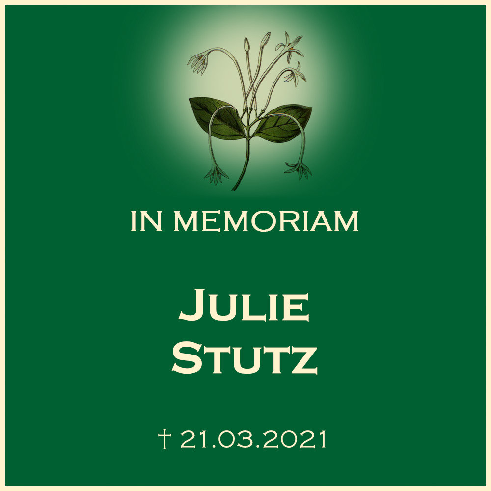 Julie Stutz