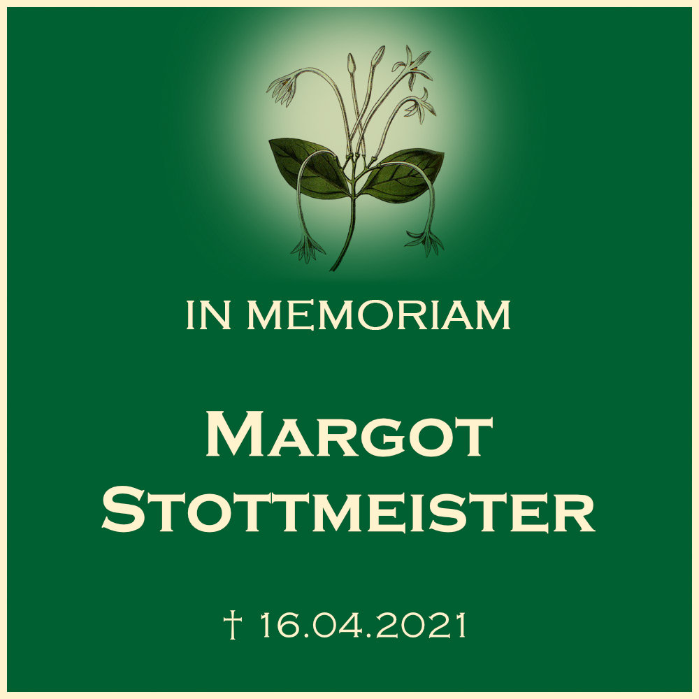 Margot Stottmeister
