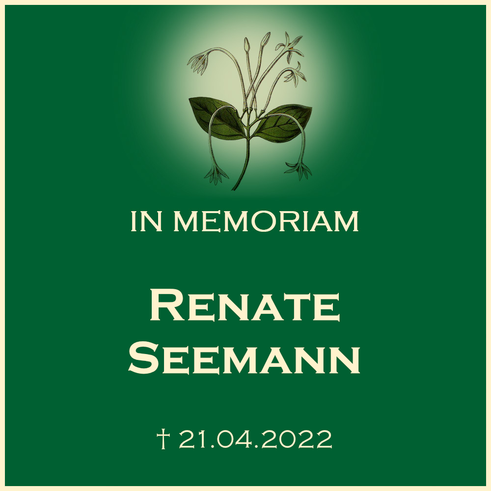Renate Seemann Anonyme Urnenbeisetzung Hauptfriedhof Heilbronn