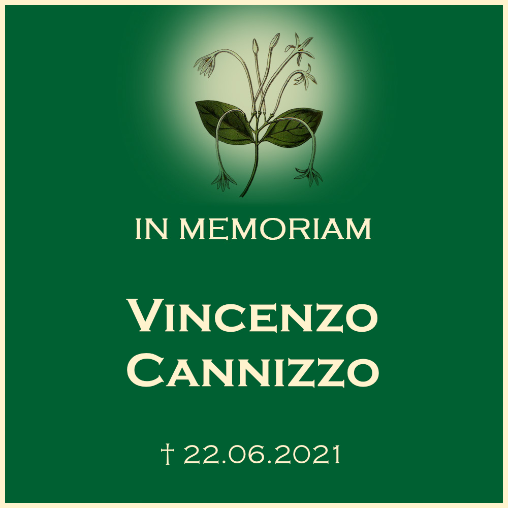 Vincenzo Cannizzo