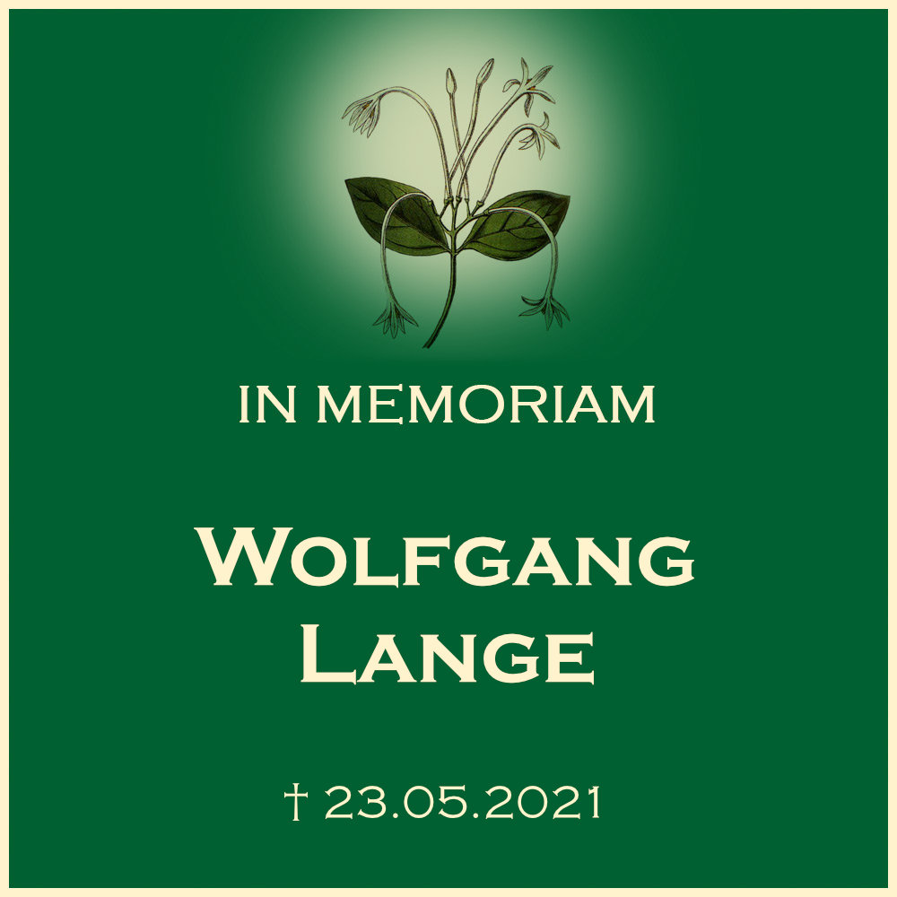 Wolfgang Lange
