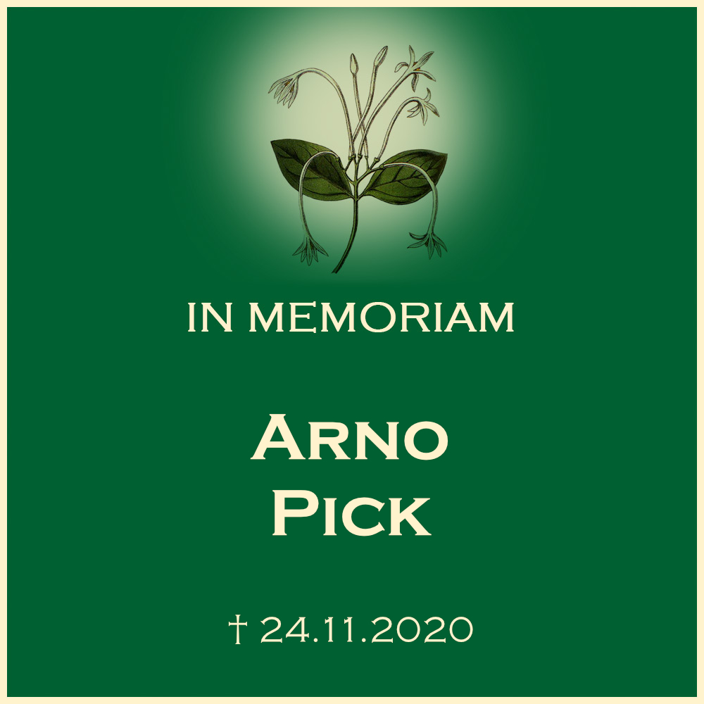 Arno Pick