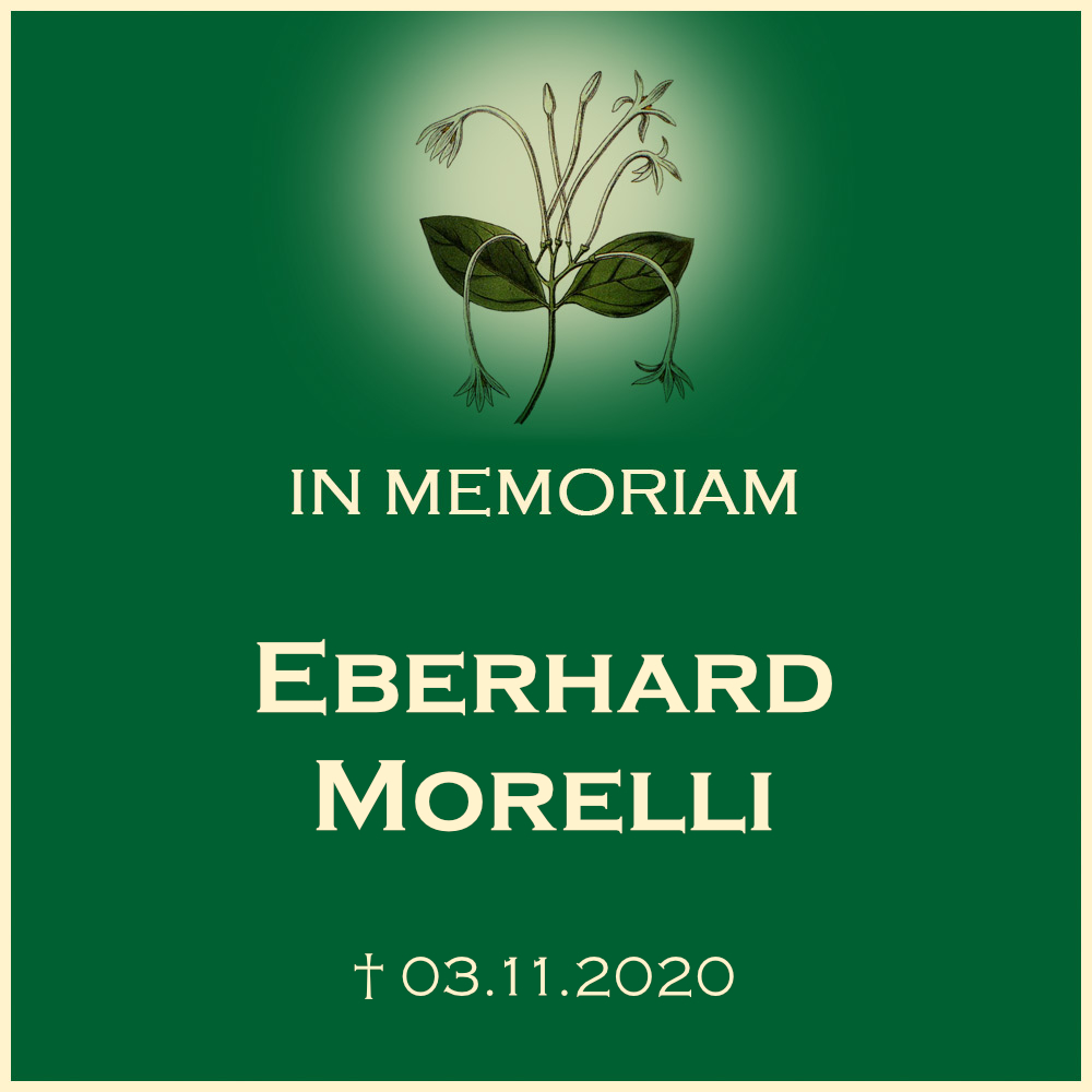 Eberhard Morelli