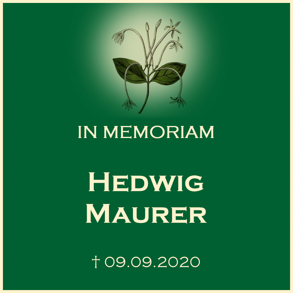 Hedwig Maurer