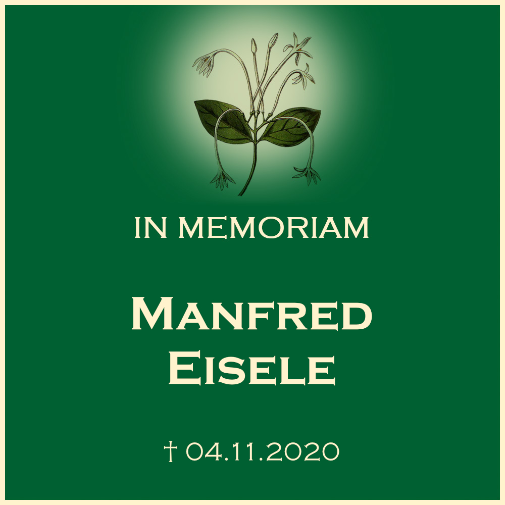Manfred Eisele