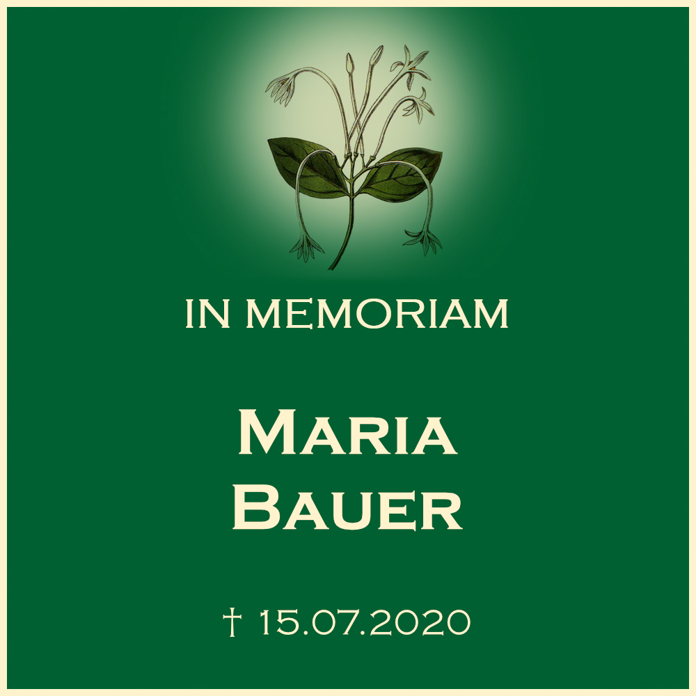 Maria Bauer Urnenbeisetzung in Kleinbottwar