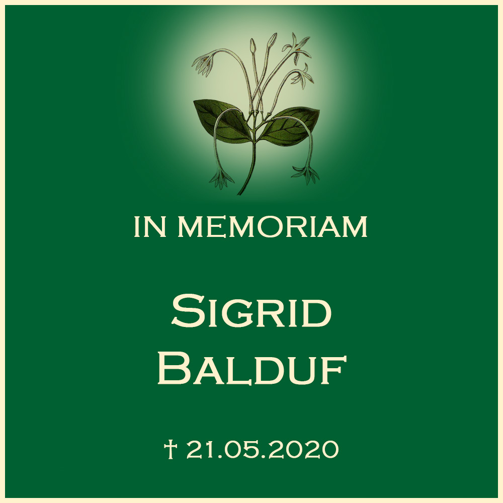 Sigrid Balduf