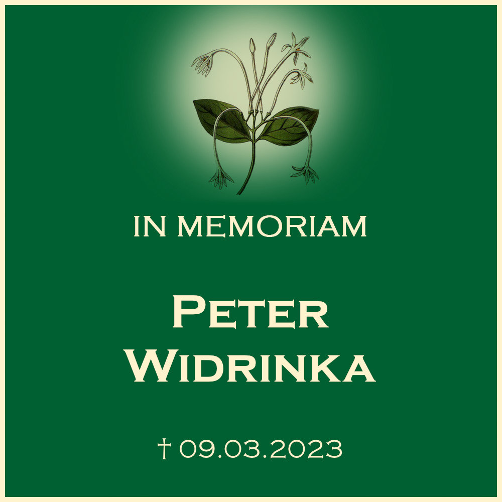 Peter Widrinka Urnebeisetzung in einem pflegeleichten Baumgrab auf dem Friedhof in 71723 Grossbottwar Winzerhausen Wunnensteinstrasse